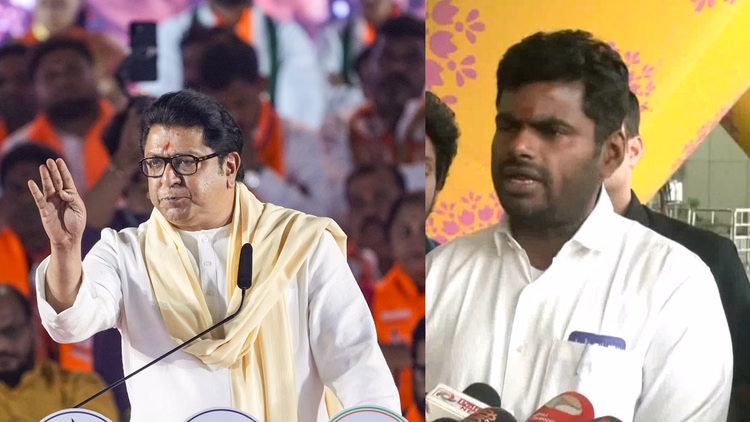 'मैं मुंबई आऊंगा, हिम्मत है तो मेरे पैर...':राज ठाकरे के 'रसमलाई' वाले तंज पर भड़के अन्नामलाई, दी यह चुनौती - Bjp Leader K Annamalai Fires Back At Raj Thackeray And Dared Mns Chief To Stop Him From Entering Mumbai