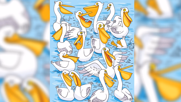 Optical Illusion:तस्वीर में बत्तखों के बीच छिपी हैं 10 मछलियां, जीनियस हैं तो 10 सेकेंड में खोजकर दिखाएं - Optical Illusion Iq Test Brain Teaser Image Can You Spot 10 Fish Within 10 Seconds?