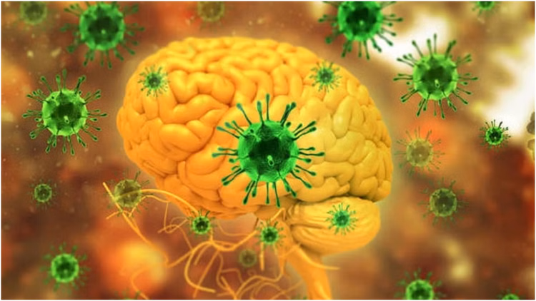 West Bengal:एम्स-कल्याणी में संदिग्ध निपाह वायरस के दो मामले सामने आए, केंद्र ने तैनात किया प्रतिक्रिया दल - Suspected Nipah Cases At Aiims Kalyani West Bengal Centre Deployed National Joint Outbreak Response Team