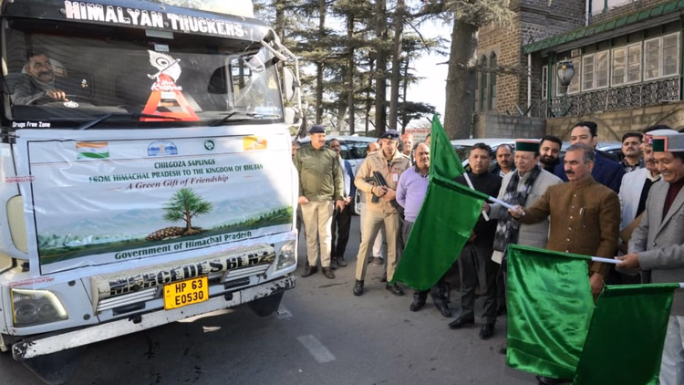 Himachal News:भूटान में उगेंगे हिमाचल के चिलगोजे के पौधे, मुख्यमंत्री सुक्खू वाहन को हरी झंडी दिखा किया रवाना - Himachal Chilgoje Plants Will Grow In Bhutan Cm Sukkhu Flagged Off The Vehicle
