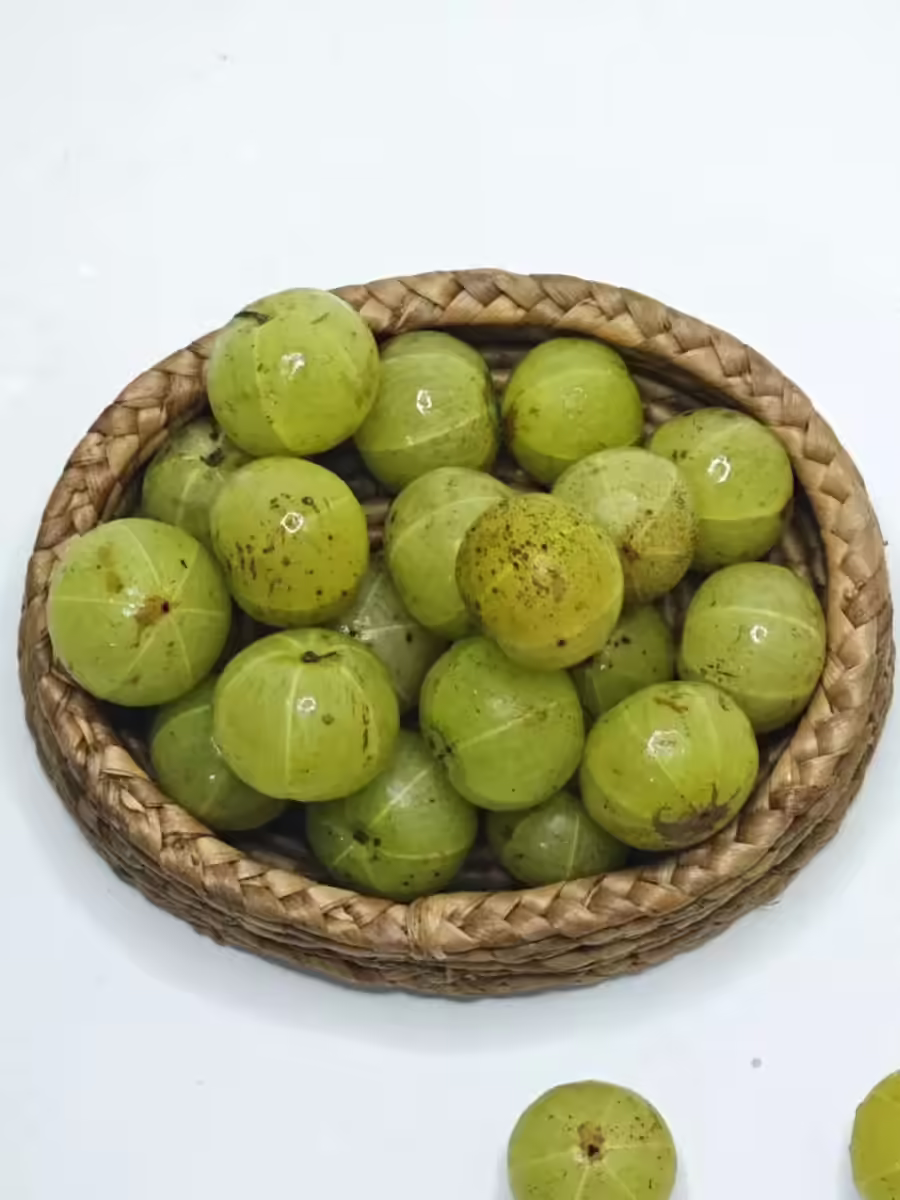 क्या आपको पता है गमले में आंवला उगाने का तरीका? | Navbharat Times