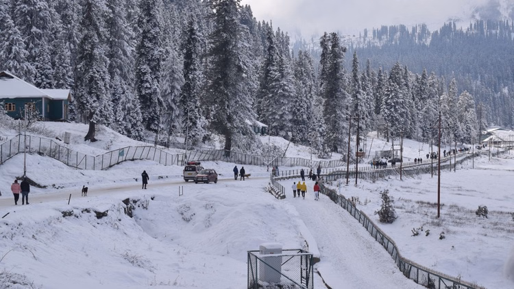 Jammu Kashmir Weather:कश्मीर घाटी में सर्दी का सितम जारी, पुलवामा सबसे ठंडा, श्रीनगर में सुधरा रात का तापमान - The Cold Wave Continues In The Kashmir Valley, Pulwama Is The Coldest, But The Night Temperature Has Improved