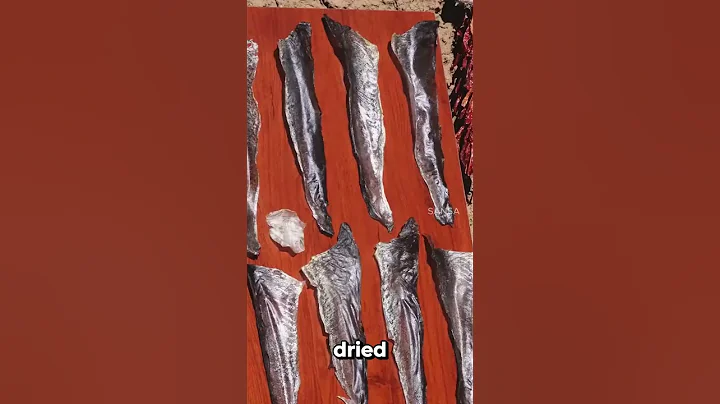 تحويل جلد السمك باتجاه ملابس‼️😱