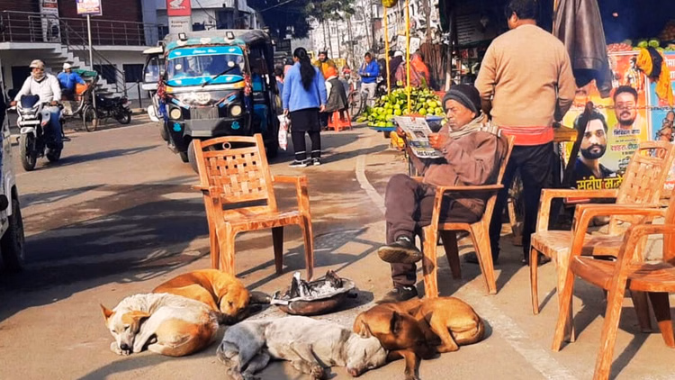 Up Weather:चटख धूप के बाद भी गलन बरकरार, लुढ़का पारा; कोहरे के कारण दो घंटे विलंब से पहुंची कैफियत डाउन - Up Weather Despite Bright Sunshine Biting Cold Persists Temperatures Dropped Kaifiyat Down Train Late