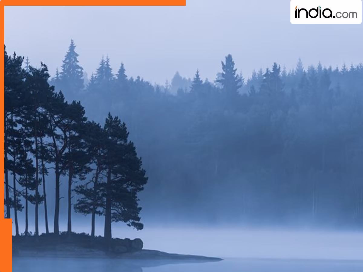 दुनिया के इस गांव में क्या वाकई में जन्म और मृत्यु पर 'प्रतिबंध' है, जानिए क्या है सच्चाई