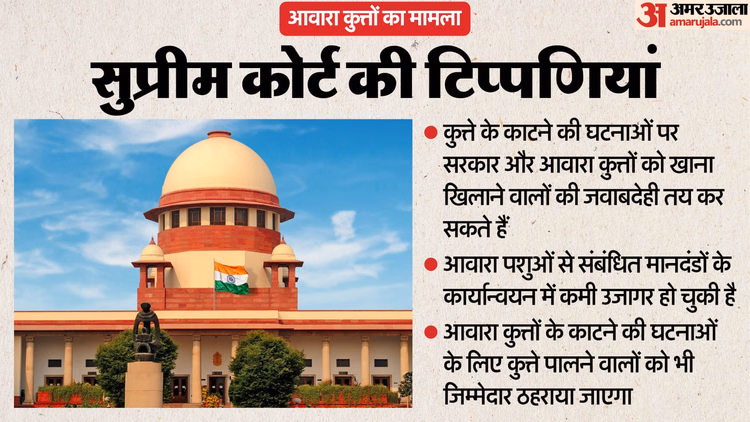 आवारा कुत्ता मामला:सुप्रीम कोर्ट ने कहा- 'डॉग बाइट' पर तय कर सकते हैं सरकार और खाना खिलाने वाले की जवाबदेही - Supreme Court Dog Case Hearing Mulls Fixing Liability On States And Stray Dog Feeders For Dog-bite Incidents