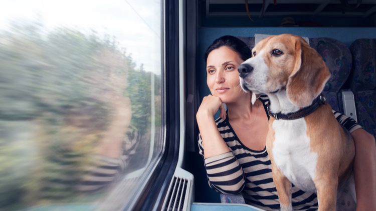 Train Travel With Animal:क्या ट्रेन में अपने साथ जानवर लेकर जा सकते हैं ? जानें क्या कहता है नियम - Indian Railways Rules For Carrying Animals On Trains Guidelines For Pet Travel