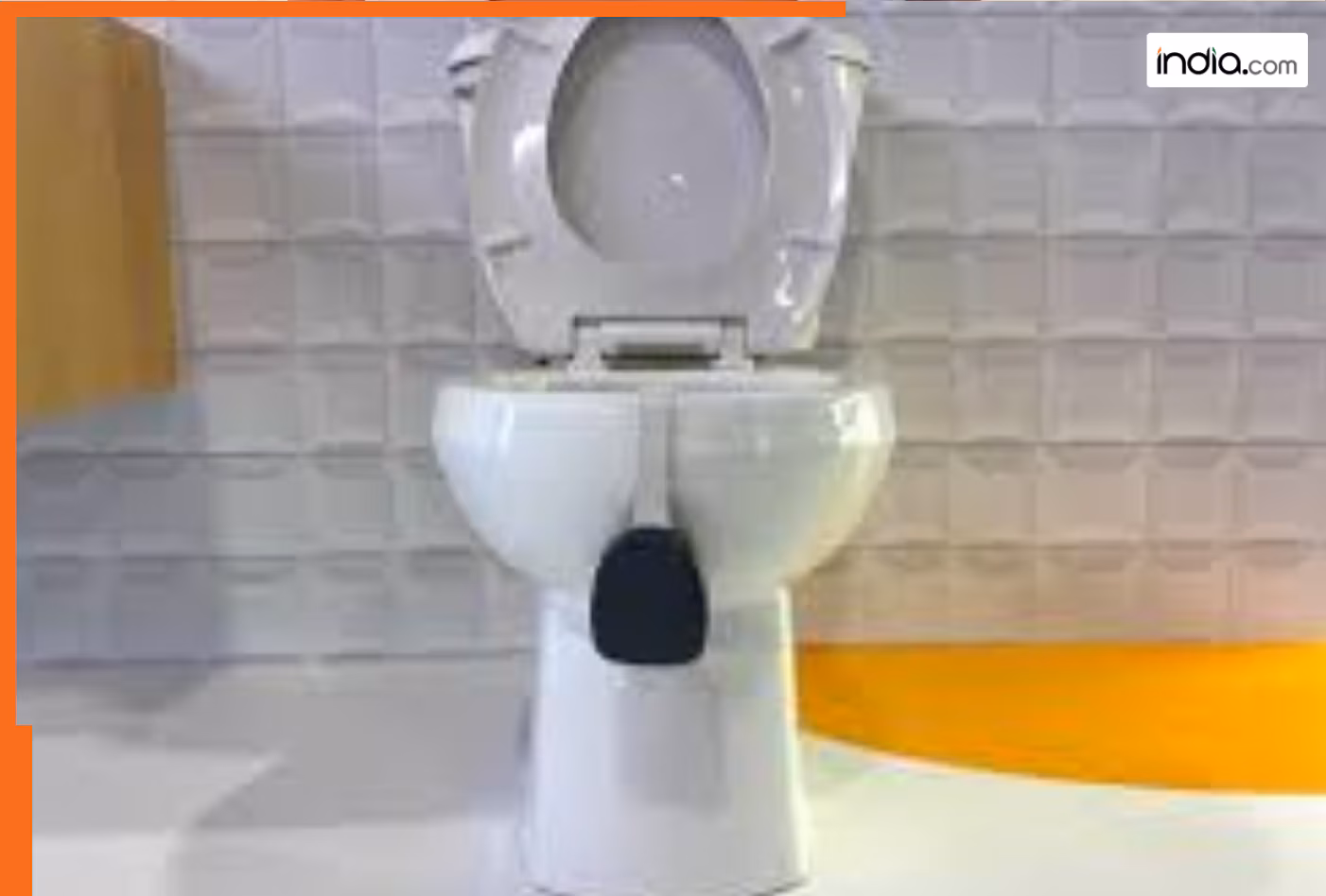 अब टॉयलेट बताएगा आपकी हेल्थ रिपोर्ट! फ्लश करते ही पता चलेगा सही मात्रा में पानी पिया है या नहीं, इस 1 एप से होगी ट्रैकिंग