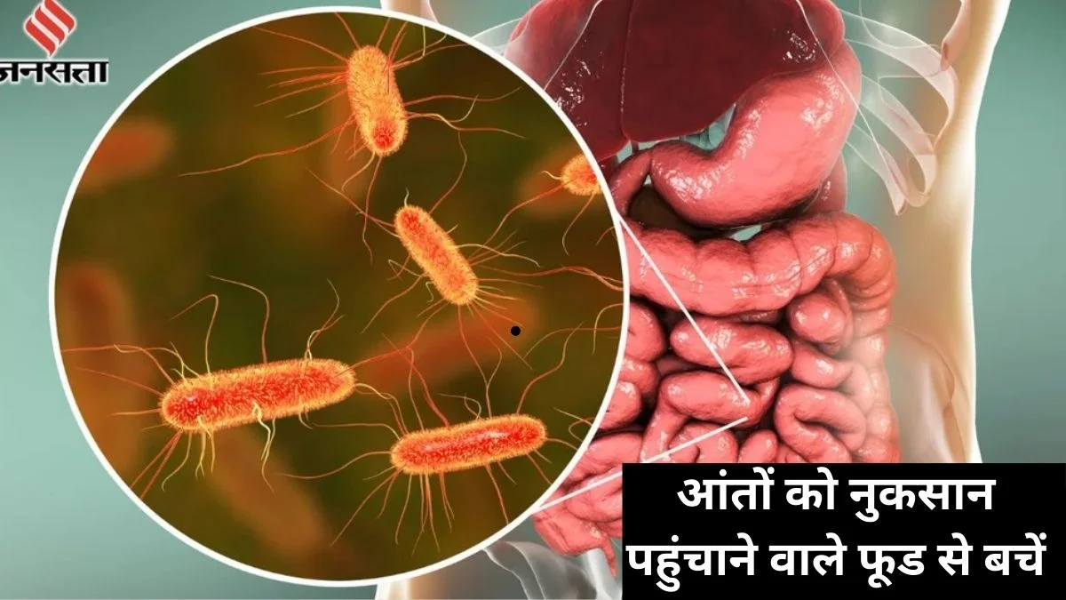 Gut Health Alert: आंतों के दुश्मन हैं ये 5 फूड्स! धीरे-धीरे खत्म कर देते हैं गुड बैक्टीरिया, गैस्ट्रोलॉजिस्ट ने बताया इन्हें आंत के लिए ज़हर | Jansatta