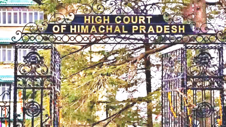 Hp High Court:हिमाचल हाईकोर्ट ने एक साल में 90 फीसदी मामलों का किया निपटारा, 2025 में इतने मामले थे लंबित - Himachal High Court Disposes Of 90 Per Cent Cases In One Year
