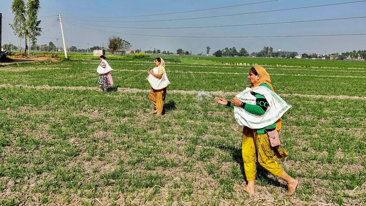 Women in Indian Agriculture: Why Female Farmers Lag in Innovation and Research-भारतीय कृषि में महिलाएं: महिला किसान इनोवेशन और रिसर्च में क्यों पीछे हैं? | Jansatta