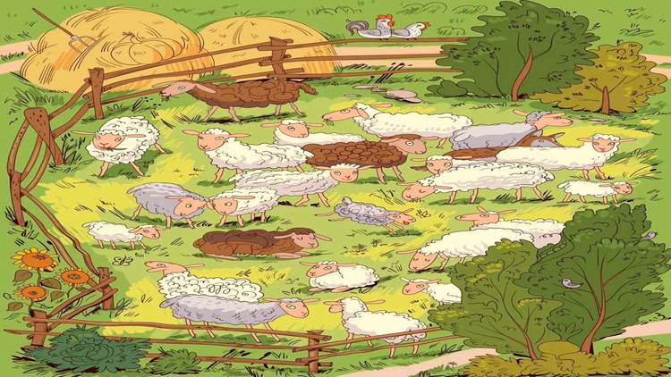 Optical Illusion:तस्वीर में भेड़ों की भीड़ में छिपा है भेड़िया, हिम्मत है तो 15 सेकेंड में ढूंढकर दिखाएं - Optical Illusion Iq Test Brain Test If You Have Hawk Eyes Then Find Wolf In 15 Seconds