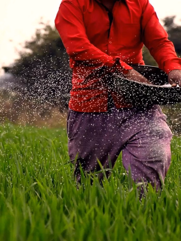 à¤à¥à¤¯à¤¾ à¤ªà¤¿à¤¤à¤¾ à¤à¤° à¤à¤¸à¤à¤¾ à¤¬à¥à¤à¤¾ à¤¦à¥à¤¨à¥à¤ à¤ªà¥à¤à¤® à¤à¤¿à¤¸à¤¾à¤¨ à¤¸à¤®à¥à¤®à¤¾à¤¨ à¤¨à¤¿à¤§à¤¿ à¤¯à¥à¤à¤¨à¤¾ à¤®à¥à¤ à¤à¤° à¤¸à¤à¤¤à¥ à¤¹à¥à¤ à¤à¤µà¥à¤¦à¤¨?