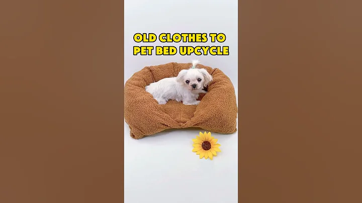 Turn Unworn Clothes into a Snug Bed for Your Fur Babies! 🐾