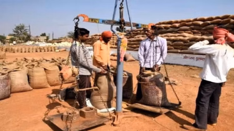 Cg:छत्तीसगढ़ में धान खरीदी का आंकड़ा 102 लाख मीट्रिक टन पार, किसानों को 24 हजार 265 करोड़ रुपये का भुगतान - Paddy Procurement Figures In Chhattisgarh Cross 102 Lakh Metric Tonnes, Rs 24,265 Crore Paid To Farmers In Cg