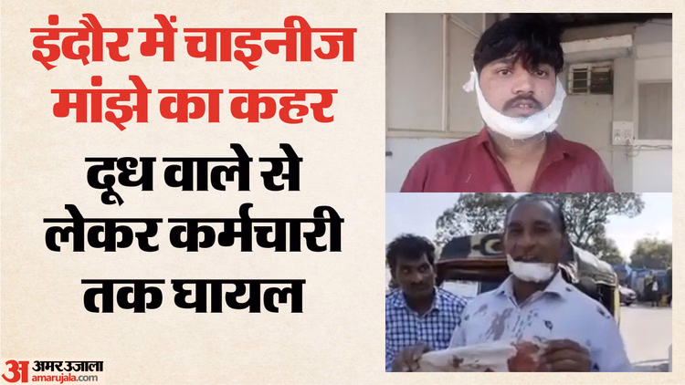 Indore News:इंदौर में चाइनीज मांझे का कहर, किसी के गले में 8 टांके तो किसी का चेहरा कटा - Indore News: Four Injured By Banned Chinese Manjha In Separate Incidents Across Indore