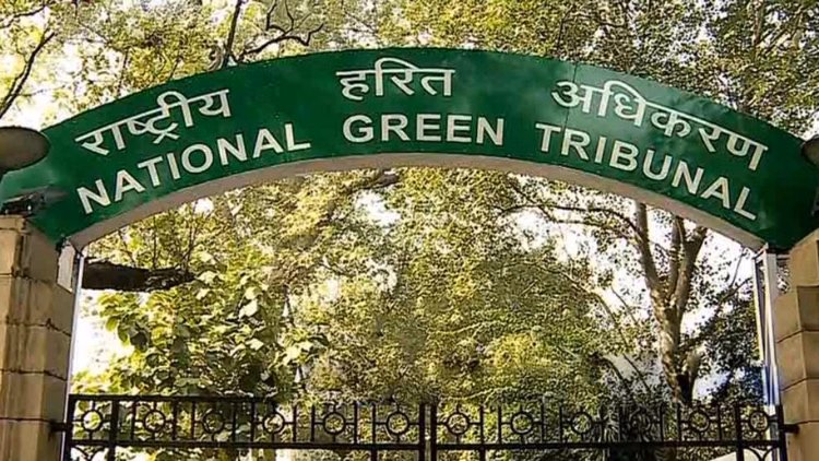 Mp News:राजस्थान-यूपी-mp में दूषित पानी की सप्लाई पर Ngt सख्त, पेयजल में सीवेज का पानी मिलने के आरोप - Mp News: Ngt Strict On Contaminated Water In Rajasthan, Up And Mp; Seeks Reply On Sewage In Drinking Water