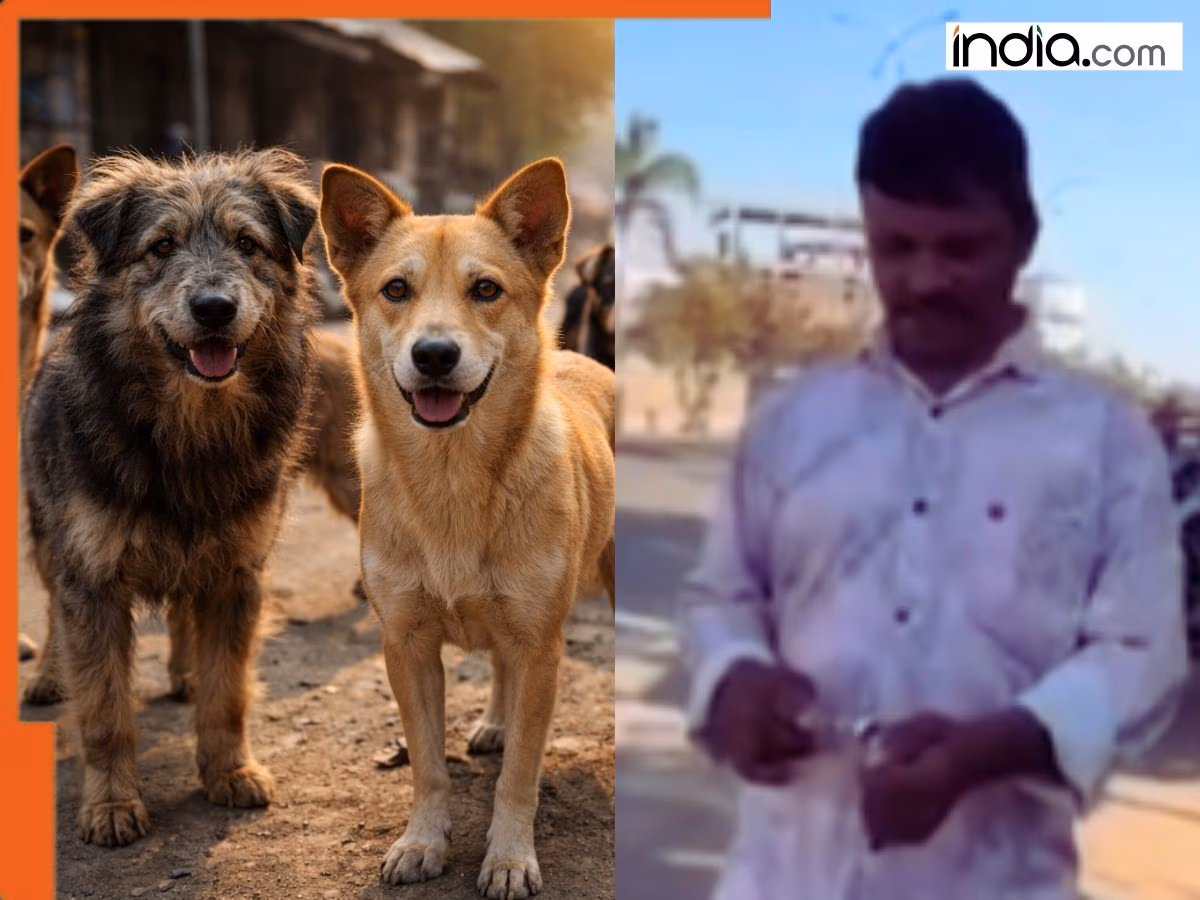 दरिंदगी की सीमा पार! 7 दिन में 500 आवारा कुत्तों को जहर का इंजेक्शन देकर मार डाला, वजह जान खौल उठेगा आपका भी खून