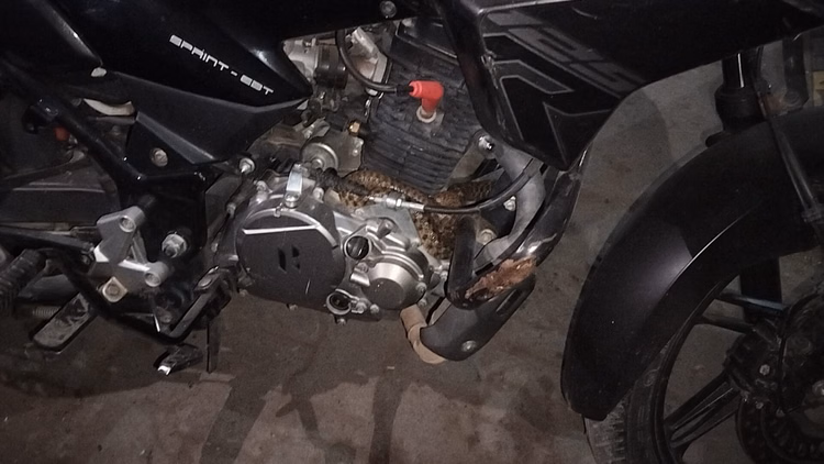 Up:बाइक में ऐसी जगह घुस गया जहरीला सांप...निकालने के लिए खोलने पड़े कई पुर्जे, देखें ये तीन तस्वीरें - Snake Found Inside Bike In Sakit, Rider Panics And Abandons Vehicle