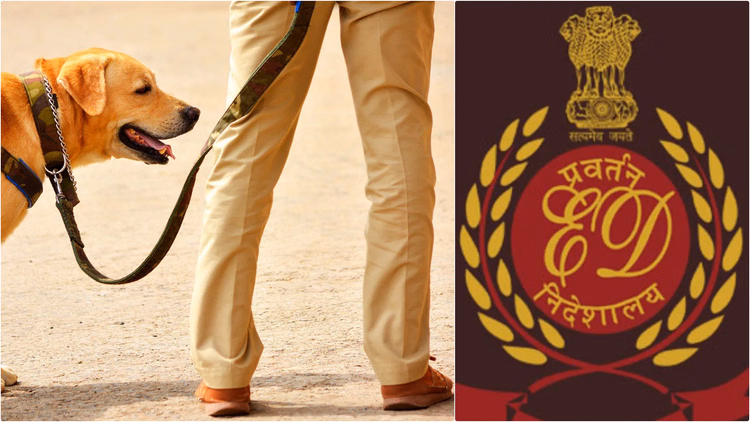 Jharkhand News:कथित मारपीट मामले की जांच में Ed कार्यालय पहुंची रांची पुलिस, राजनीतिक आरोपों के बीच बढ़ी हलचल - Jharkhand News: Ranchi Police Reach Ed Office To Probe Alleged Assault Case