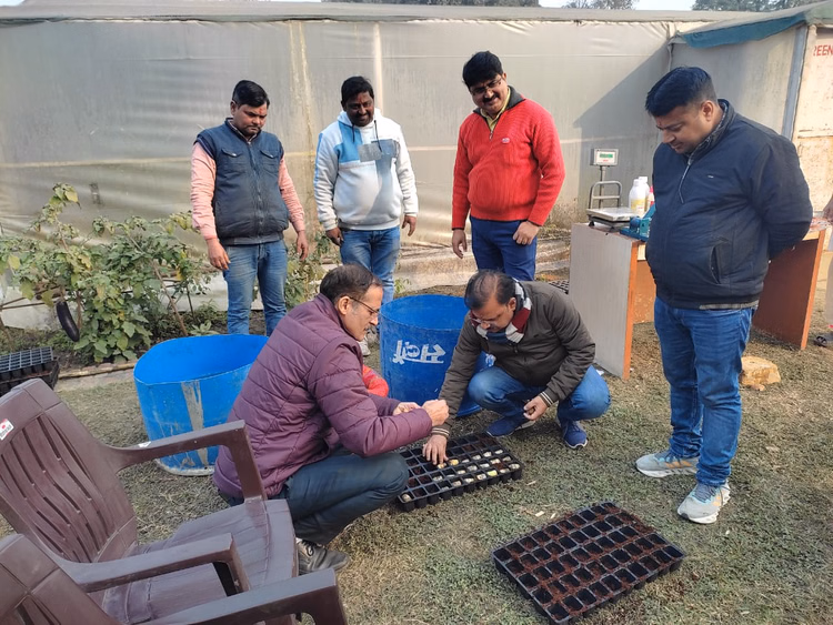 To. Preparation For 2.50 Lakh Single Bud Settling Of 0118 Started - Meerut News