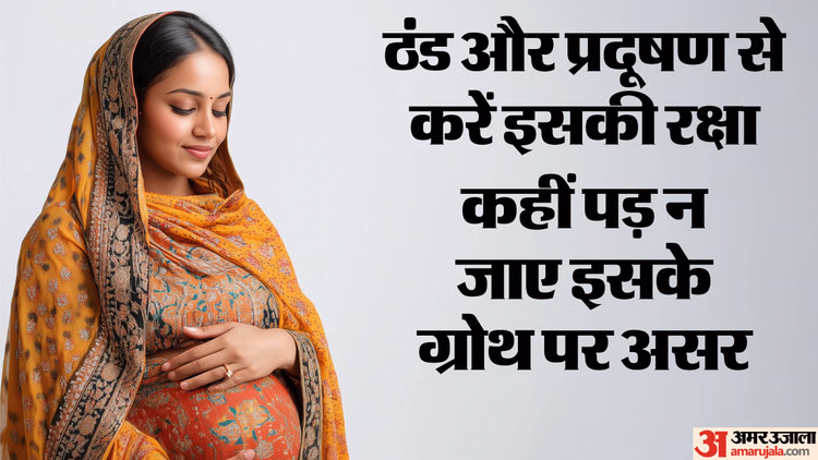 कहीं समय से पहले न आ जाए नन्हा मेहमान:गर्भवती महिलाएं सावधान, ठंड और प्रदूषण की काली नजर से खुद को बचाएं - Cold And Pollution Increasing Risk Of Premature Birth Of Baby In Womb