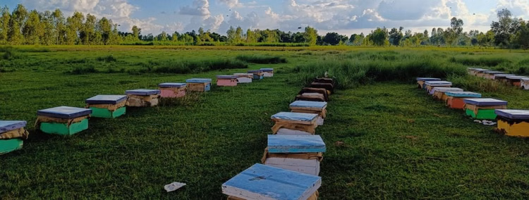 Interest-free Loans Become The Key To Self-reliance, Enabling 1270 Young People To Start Their Own Businesses - Barabanki News