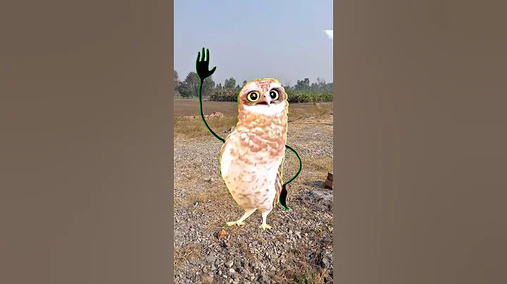 Owl 🦉 Dance mill gya #comedy #funny #cutebaby #shortsfeed #reel #trending #short
