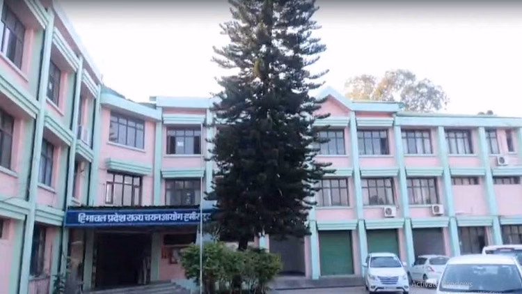 हिमाचल:पटवारी के एक पद के लिए 353 अभ्यर्थी दौड़ में, 1,87,257 ने किया है आवेदन - Himachal: 353 Candidates Are In The Race For One Patwari Post, 1,87,257 Have Applied.