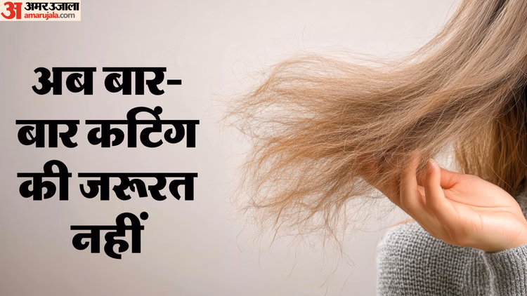 Hair Care Tips:बिना काटे दो मुंहे बालों को कैसे हटाएं ? एक बार अवश्य आजमाएं ये नुस्खे - How To Remove Split Ends Without Cutting Bina Cutting Ke Do Muhe Baal Kaise Hataye