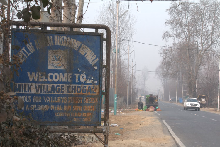 Kashmir:चोगल गांव का पनीर घर लाना न भूलें, घाटी में है सबसे मशहूर, स्वाद ऐसा कि दुबई से मिलते हैं ऑर्डर - Choghal's Cheese Is The Most Famous In The Valley, Orders Come From Dubai.