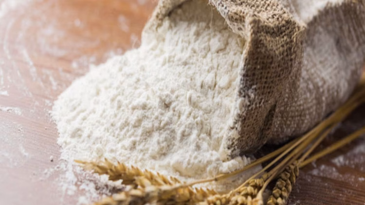 गेहूं के आटे के निर्यातकों को बड़ी राहत:सरकार ने पांच लाख टन शिपमेंट को दी मंजूरी, 21 जनवरी से डलेंगे आवेदन - Wheat Flour Export Dgft Notification India Wheat Export Ban 5 Lakh Tonnes Export Quota Rabi Crop Fssai Licence