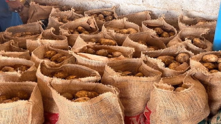 Potato:हाथरस के आलू की अंतरराष्ट्रीय उड़ान, दुनिया को भा रहा स्वाद, सऊदी अरब-अफ्रीकी देशों को भी होगा निर्यात - Taste Of Hathras Potatoes Abroad