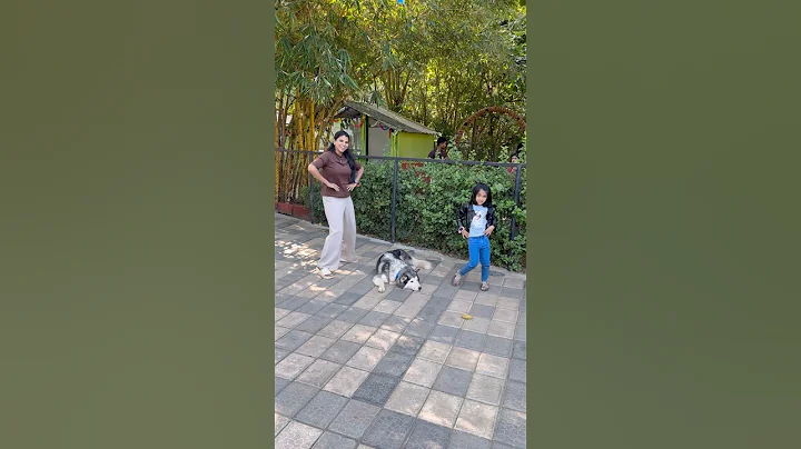 Husky Dog🐾 பக்கத்துல Husky Dance💃😜 #shorts #funny #comedy