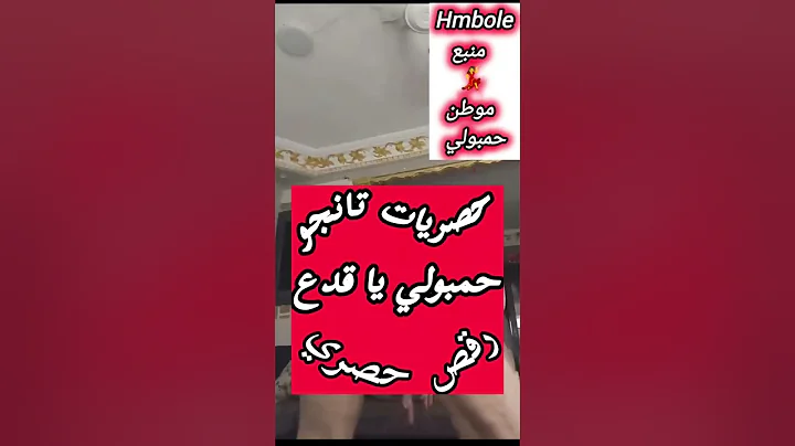 رقص مصريه بلدي / حمبولي 43 dance arab 