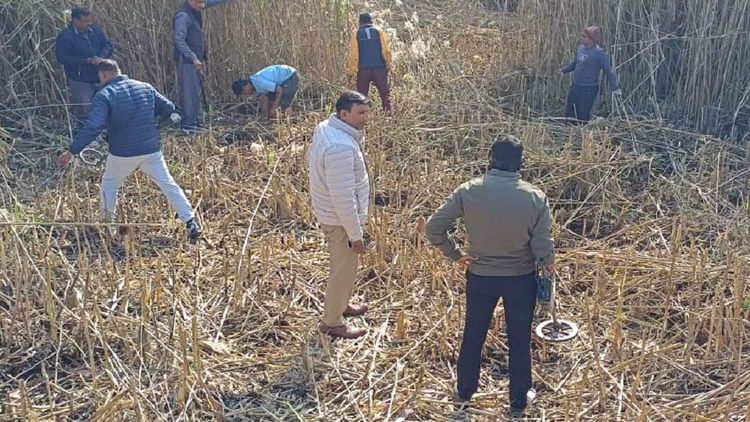 Haryana:पुरानी हवेली को तोड़ने पर मिले तीन ग्रेनेड, झाड़ियों और तालाब में फेंके; पुलिस ने चलाया सर्च अभियान - Three Grenades Were Found When The Old Mansion Was Demolished