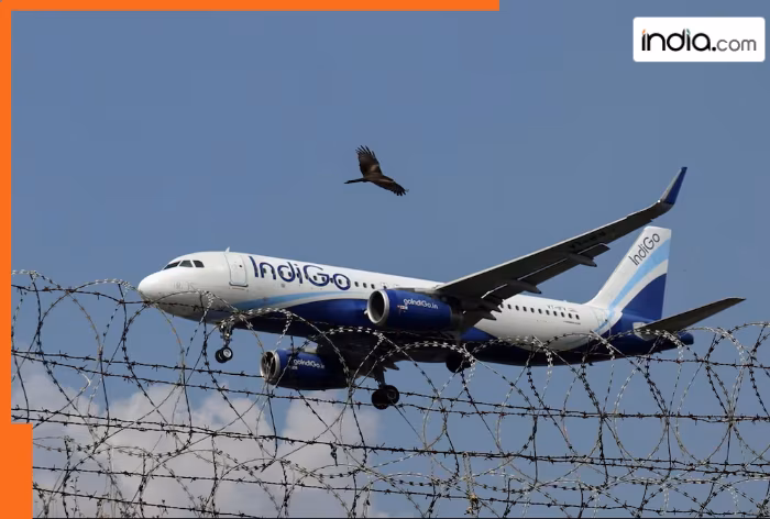 Indigo Airlines to get tough competition as government approves two novel airlines; Details inside