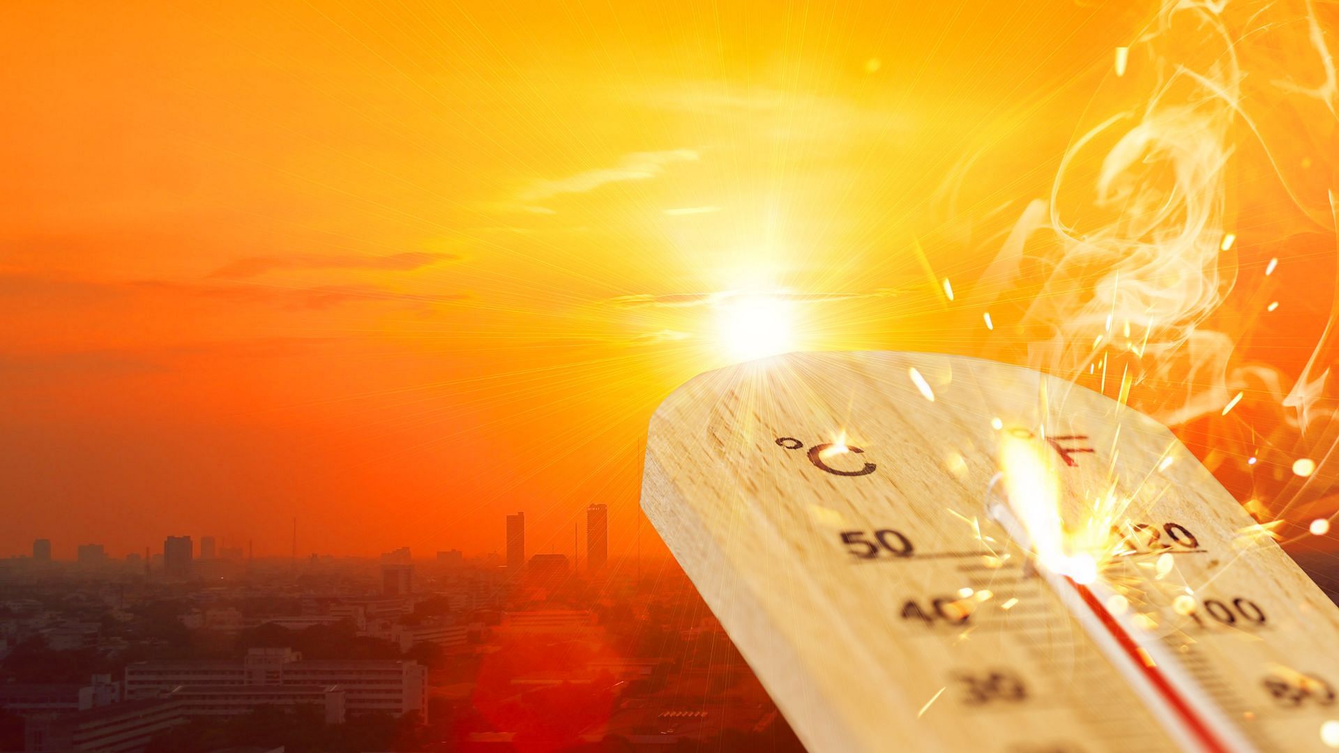 The latest news from Dholpur