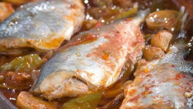 Fish – Web medicine