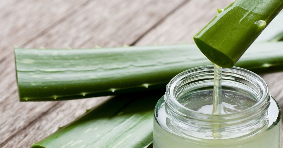Give relief to the skin in a sticky summer: Learn easy way to apply aloe vera gel, the face will be shiny and cold