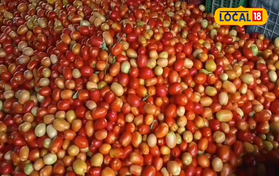 Moradabad News: Tomatoes thrown here on garbage stack, ‘scandal’ for three years, such blessings are sought