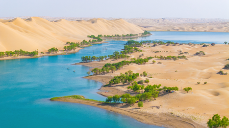 Forest plant increases in Shinachyang, China