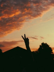 If ‘v’ sign will be made in these countries