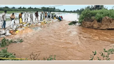 Crops plunged in 188 towns of Haryana due to heavy rain will be open to farmers to this day – due to heavy rain is crops underwater