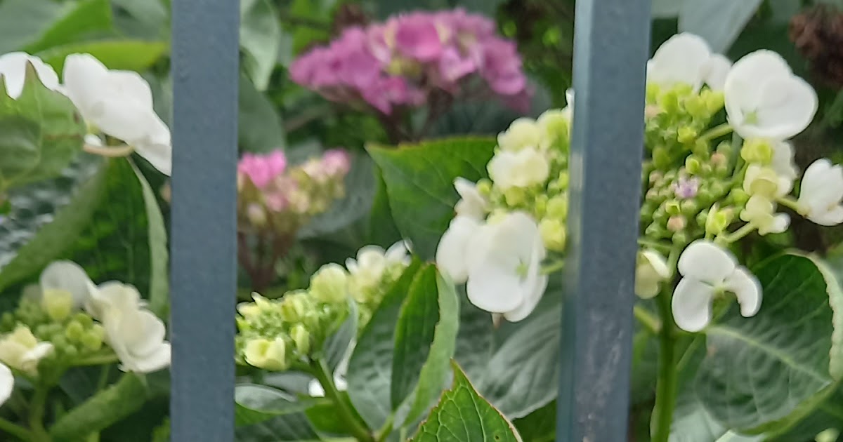 personalized-critical-video-games-for-info-literacy