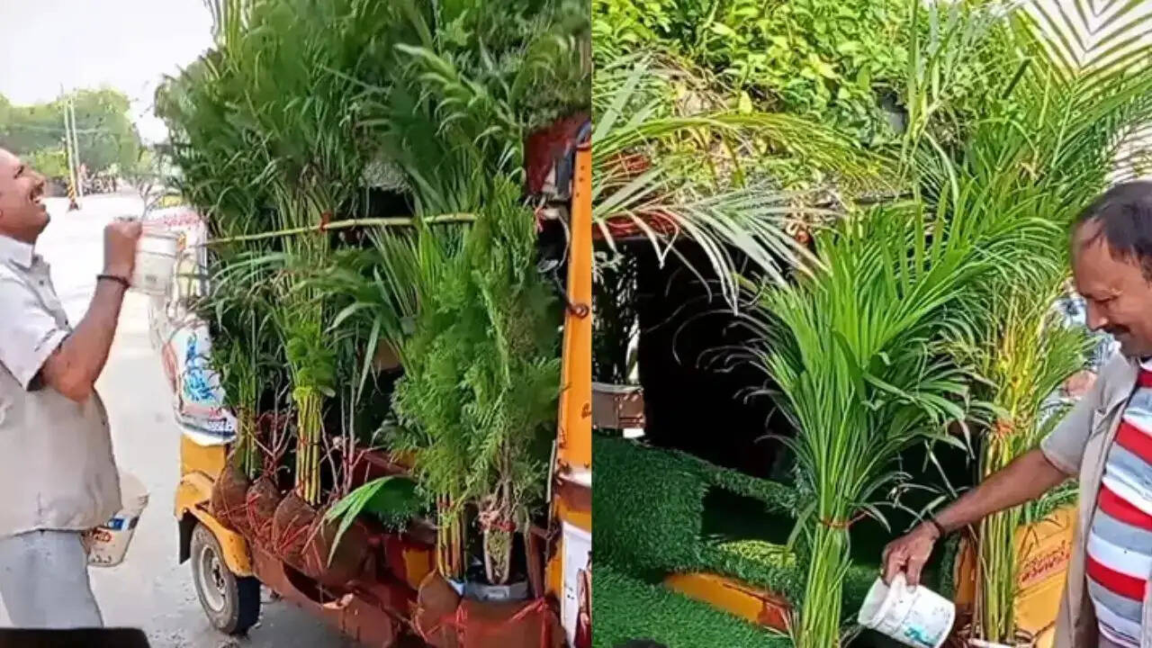 MUSTY GARDEN …. the person did it with Auto Rickshaw, all were stunned after seeing this achievement, video body, you will also give salute