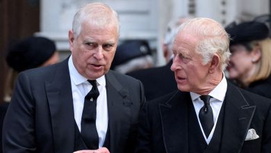 What drove King Charles to take drastic step to strip brother Andrew of ‘prince’ title, royal house