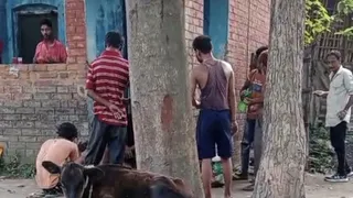 Bihar Elections: Code of conduct violated: Liquor sold openly in Katihar, questions raised on law and order – bihar election katihar open sale of liquor violates code of conduct raises law and order concerns