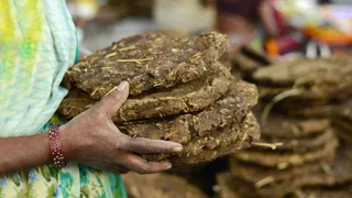 Now in Delhi cremation will not be done with wood, but only with cow-dung cakes; Strict order from MCD – Delhi mcd orders cow dung for cremation to reduce air pollution