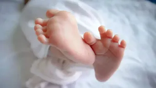There was a stir after the fetus was found in the park of Jahangirpuri, it was suspected that it was thrown due to social pressure; Police investigation – jahangirpuri fetus found in park police investigation